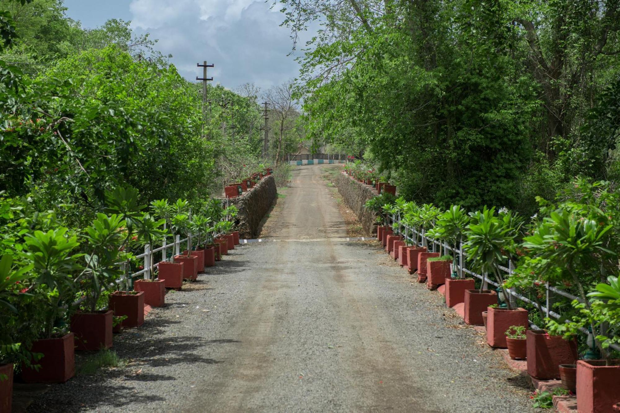 Gir Serai - Ihcl Seleqtions Sasan Gir Luaran gambar